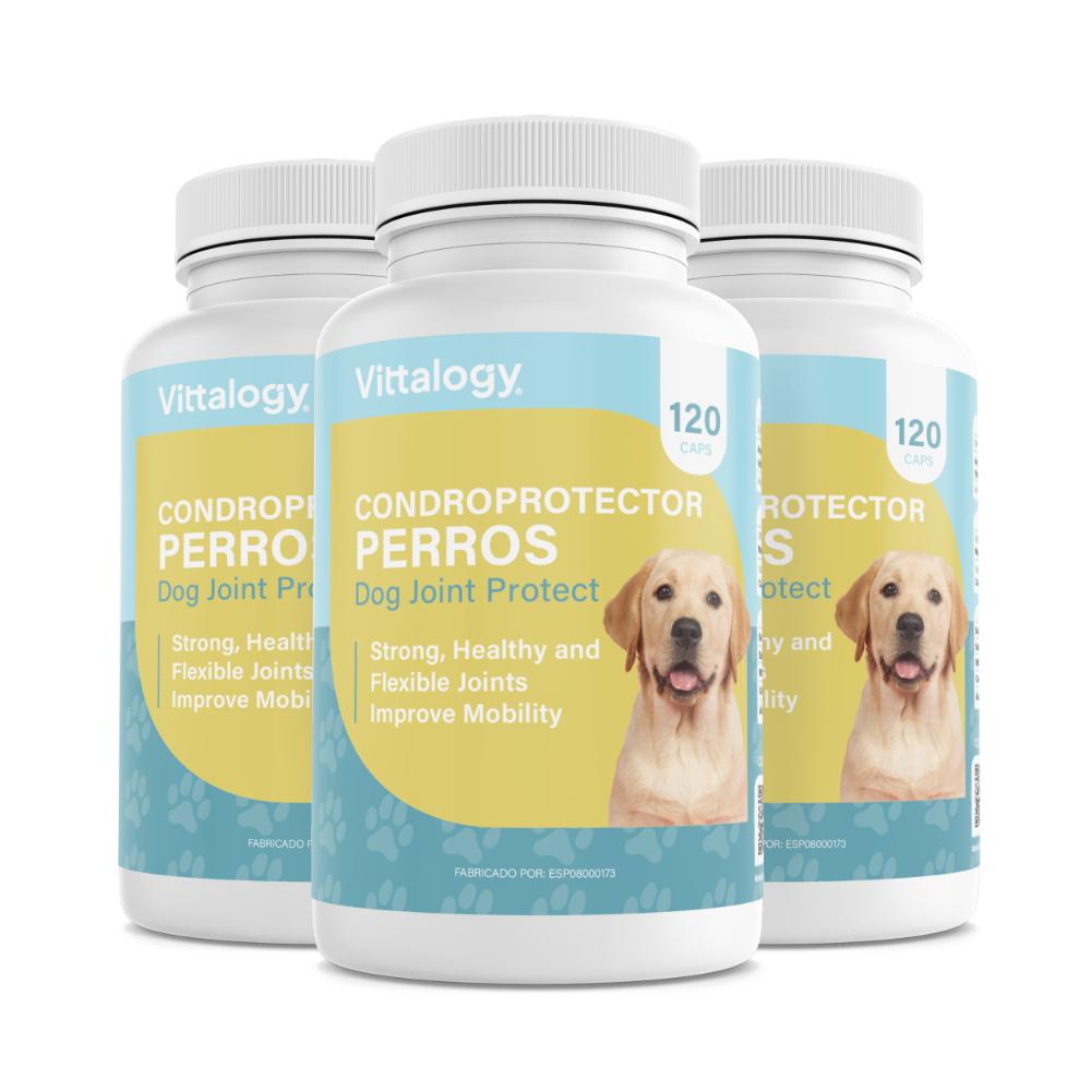 Vittalogy Condroprotector para Perros 3x120 Cápsulas【PACK AHORRO】-1
