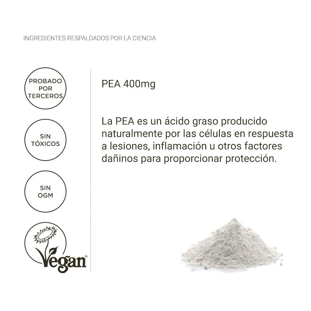 Nullure PEA Palmitoiletanolamida 400 mg Antiinflamatorio 90 Cápsulas