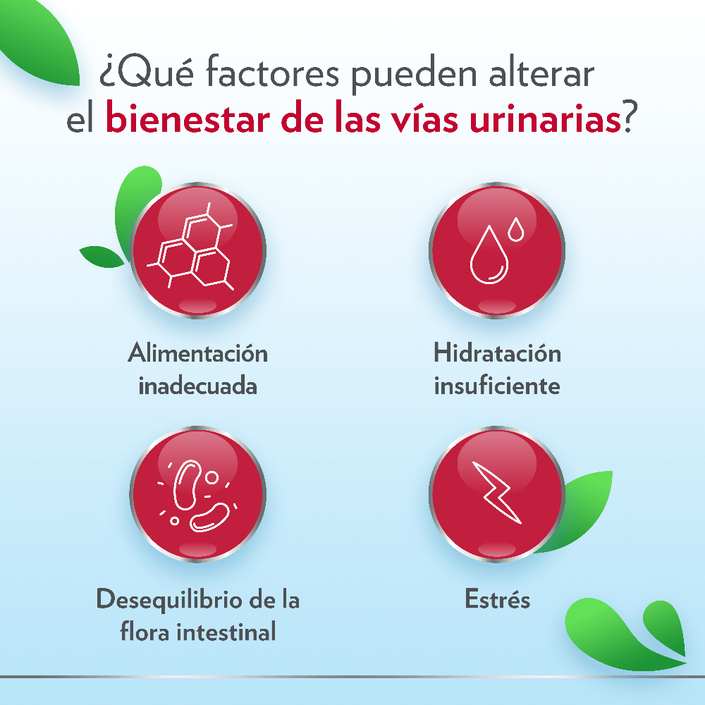 Gyne-Canesten Cystil Cistitis 14 Sobres