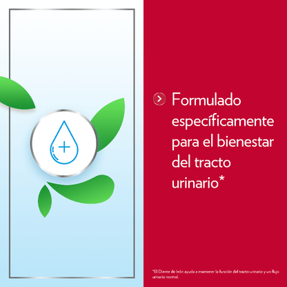 Gyne-Canesten Cystil Cistitis 14 Sobres