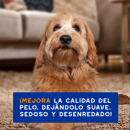 Douxo Spa 2-in-1 Shampoo and Conditioner for Dogs 250ml