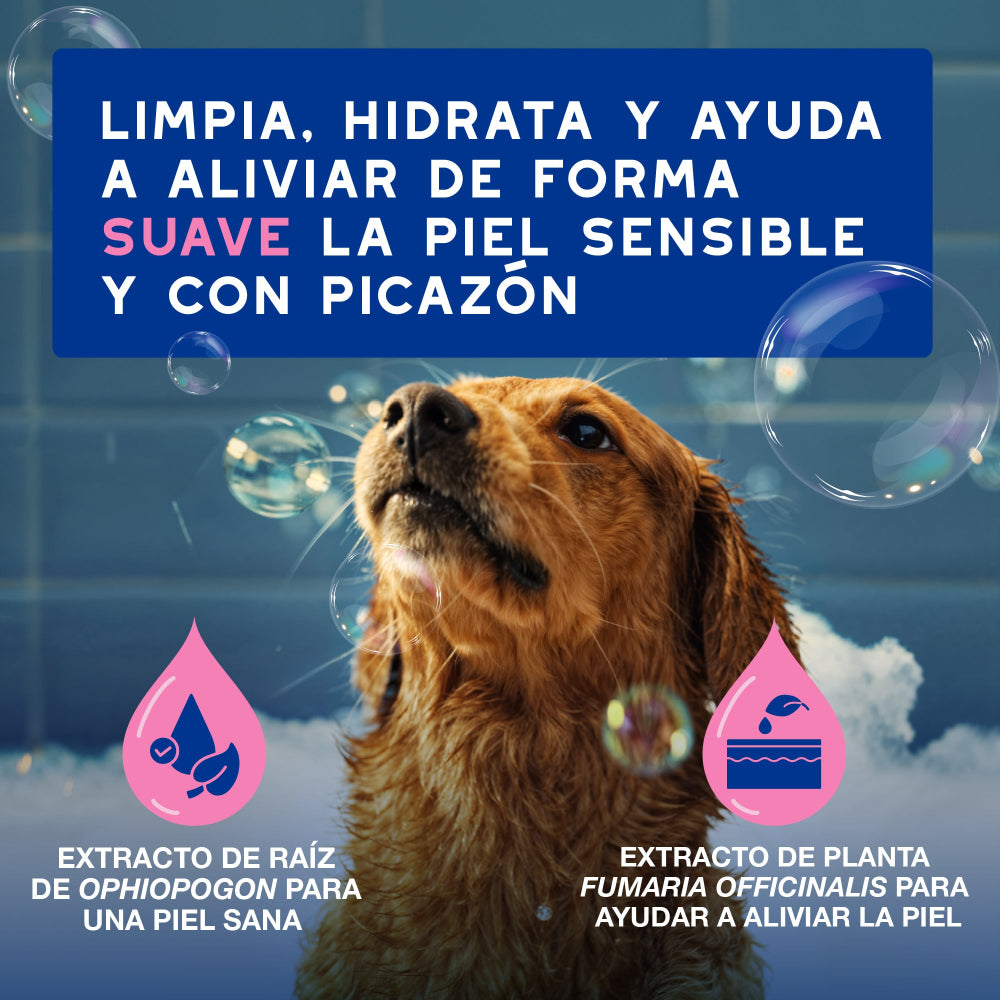 Douxo Spa Champô Alivia para Cães e Gatos 250ml