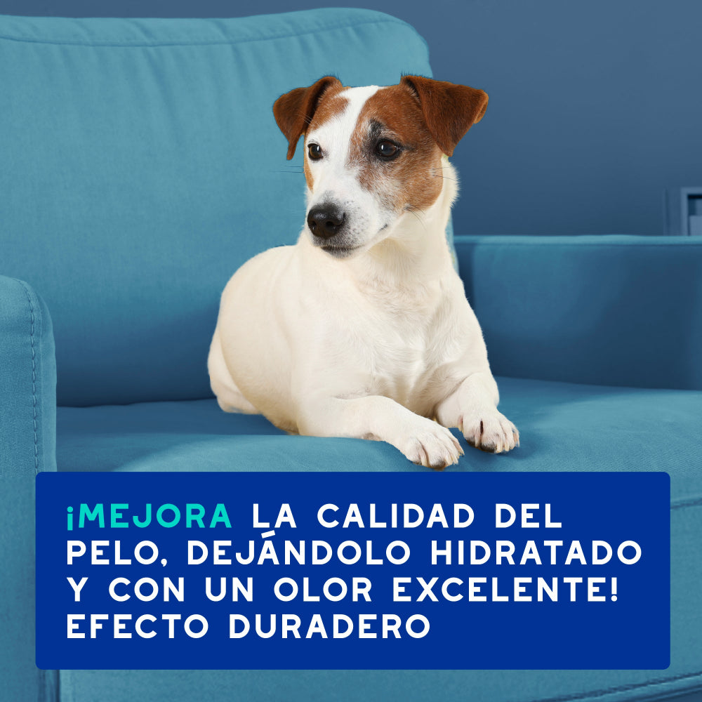 Douxo S3 Anti-Odor Shampoo Coco and Vanilla 250ml