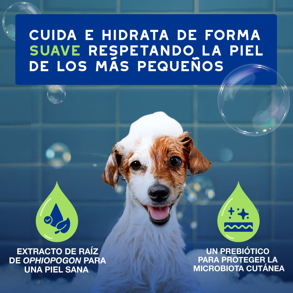 Douxo Spa Shampoo für Welpen 250ml