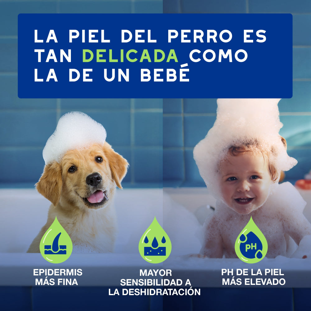 Douxo Spa Shampoo für Welpen 250ml