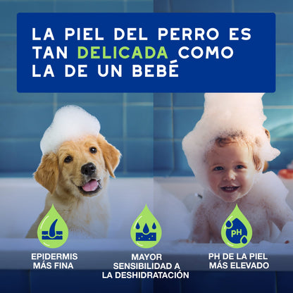 Douxo Spa Shampoo für Welpen 250ml