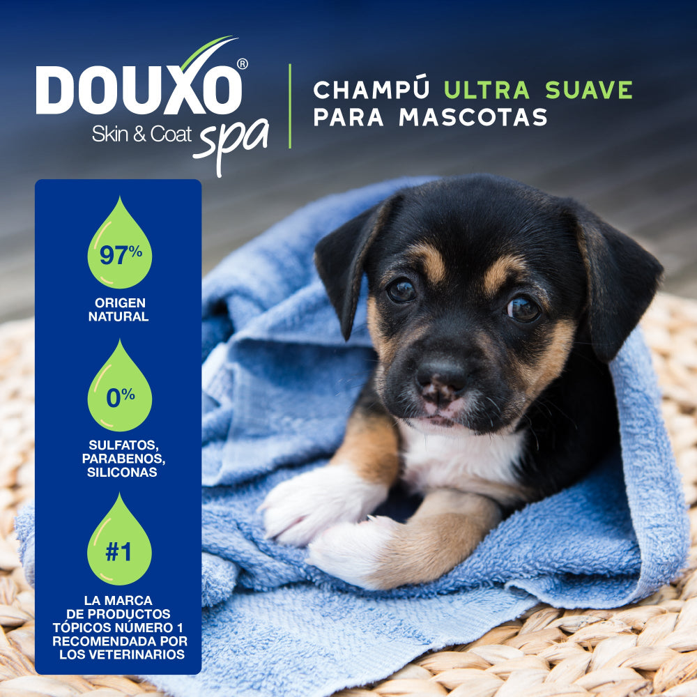 Douxo Spa Shampoo für Welpen 250ml