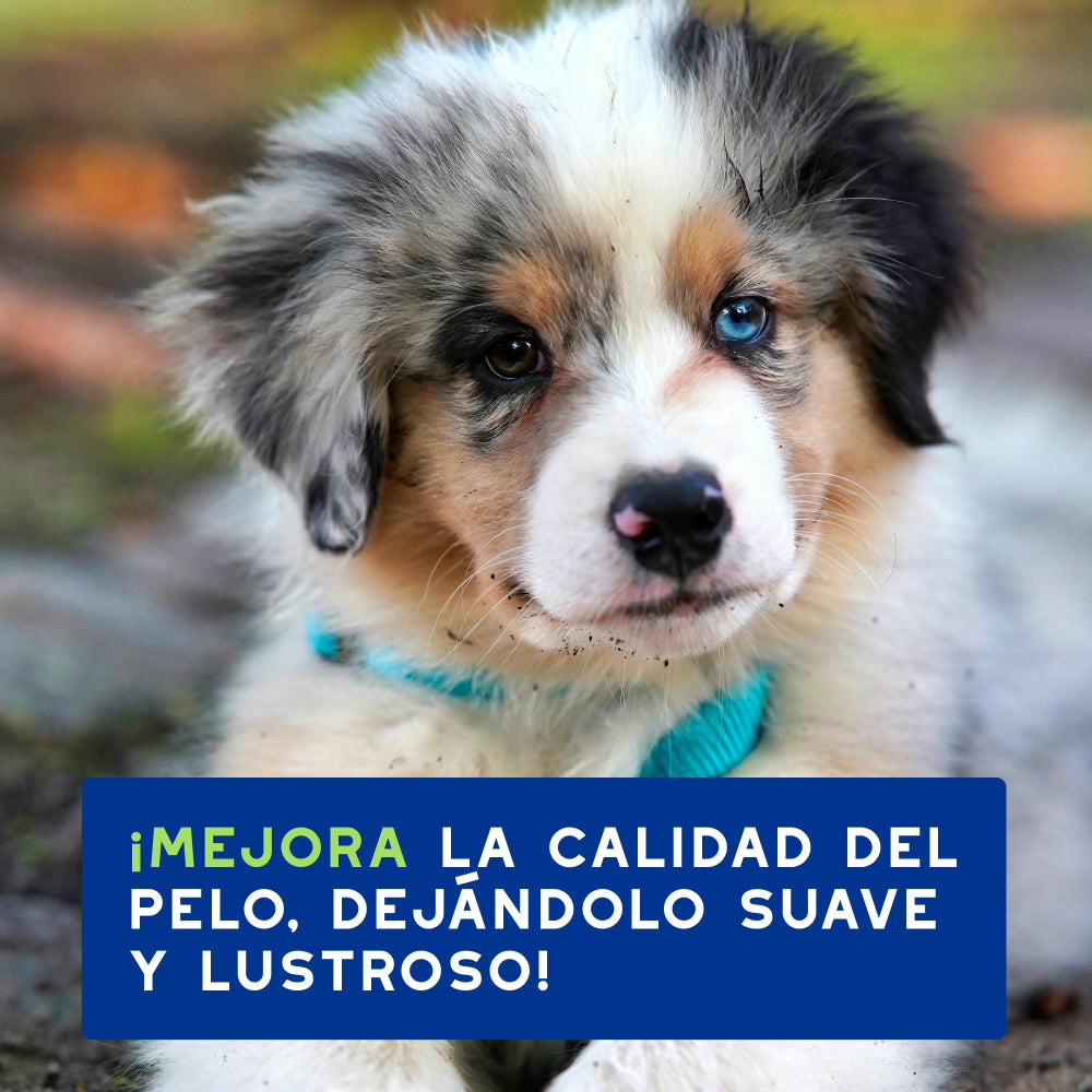 Douxo Spa Shampoo für Welpen 250ml