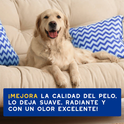 Douxo Champú Avena Hidratante Dermatológico 250ml