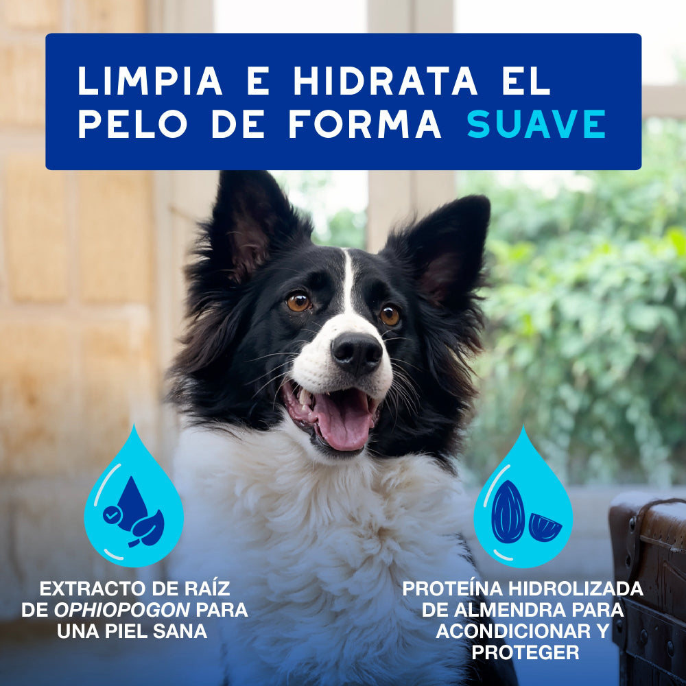 Douxo Spa Mousse Express Dog Cleanser Foam 150ml