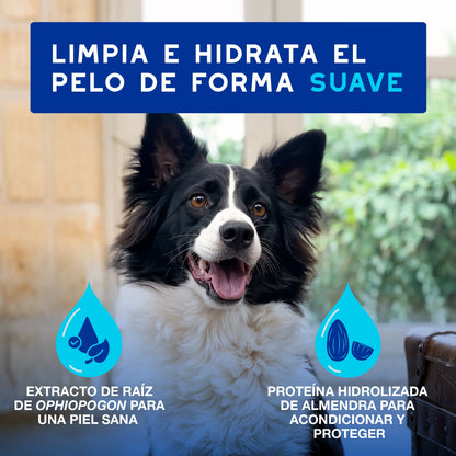 Douxo Spa Mousse Express Dog Cleanser Foam 150ml