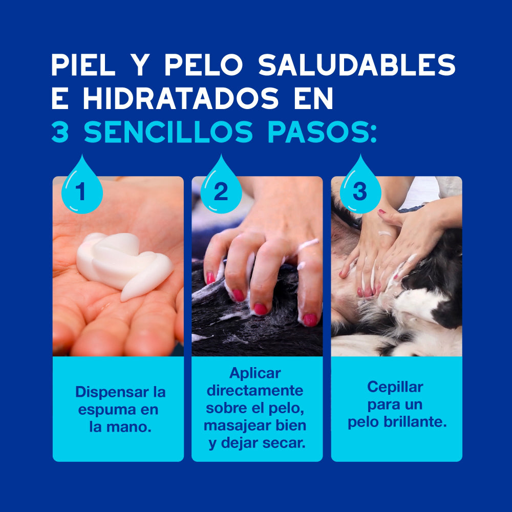 Douxo Spa Mousse Express Dog Cleanser Foam 150ml