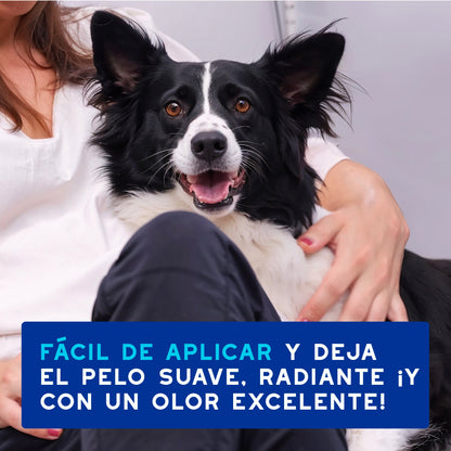 Douxo Spa Mousse Express Dog Cleanser Foam 150ml