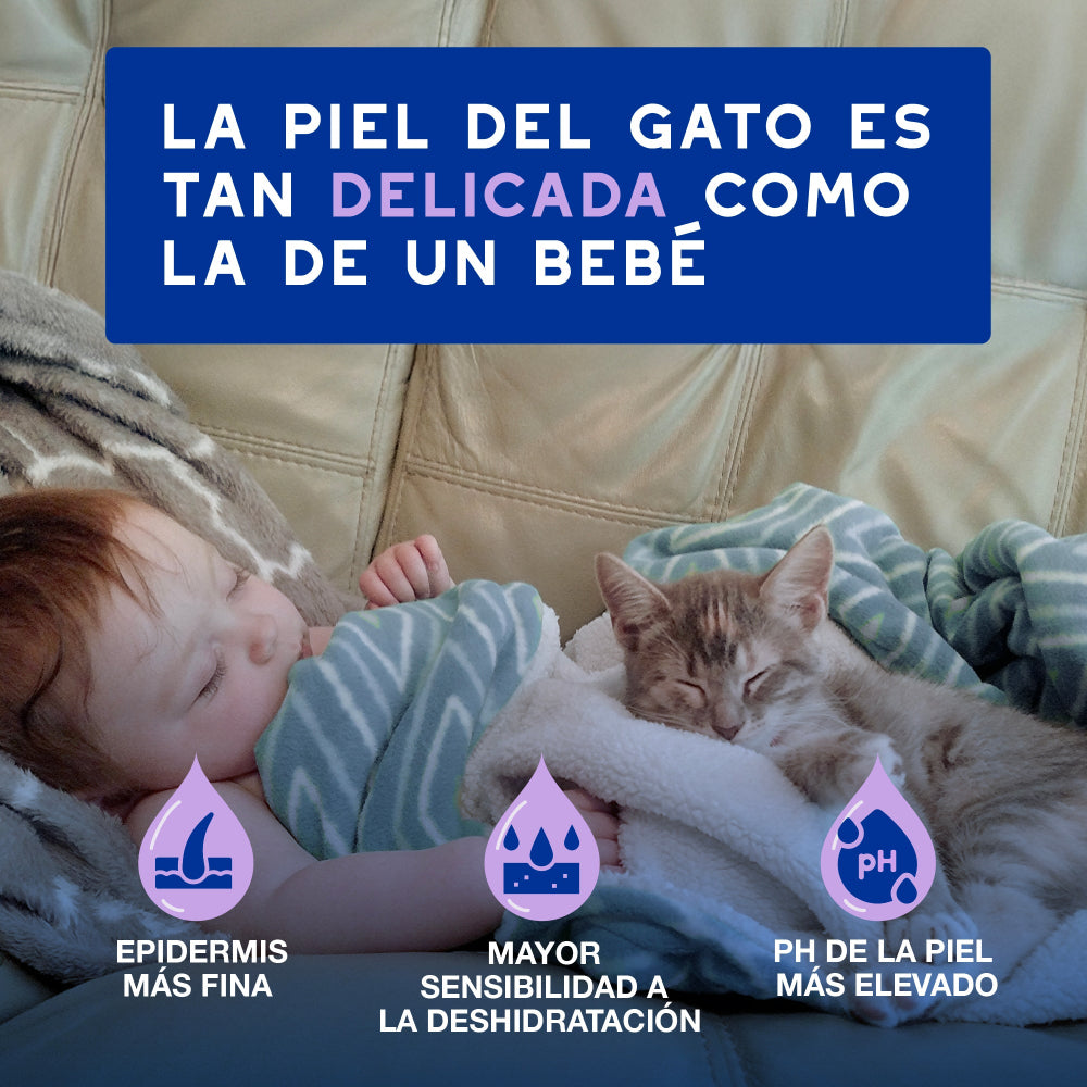 Douxo Spa Espuma Limpiadora Sin Enjuague 150ml