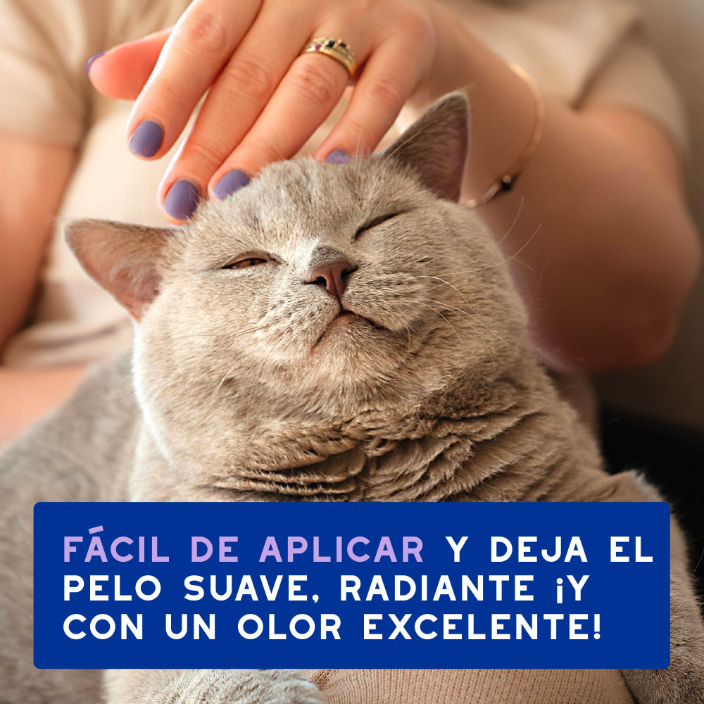 Douxo Spa Espuma Limpiadora Sin Enjuague 150ml