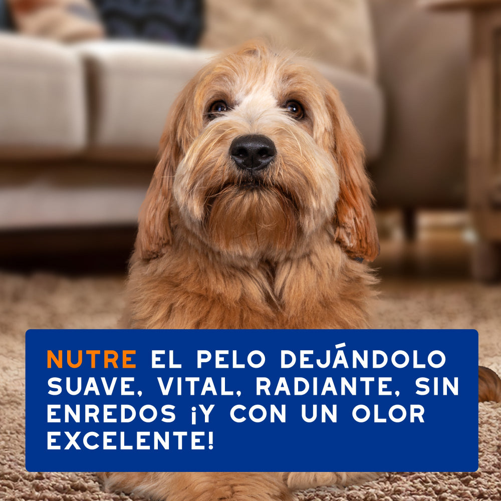 Douxo Skin & Coat SPA Spray Desenredante 340ml