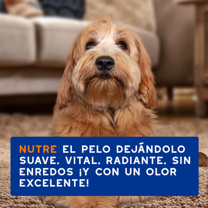 Douxo Skin & Coat SPA Spray Desenredante 340ml