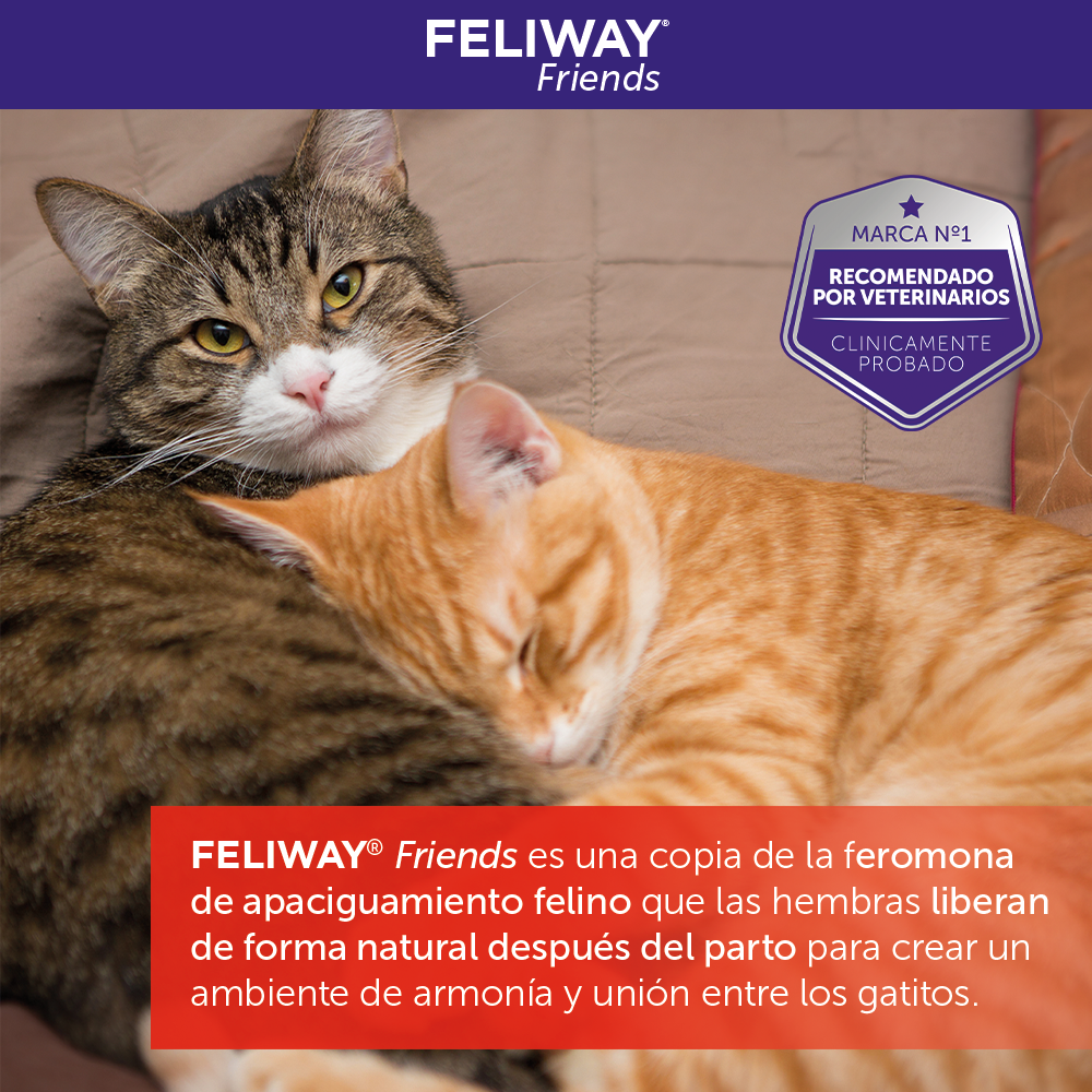 Feliway Friends Recambio 48ml