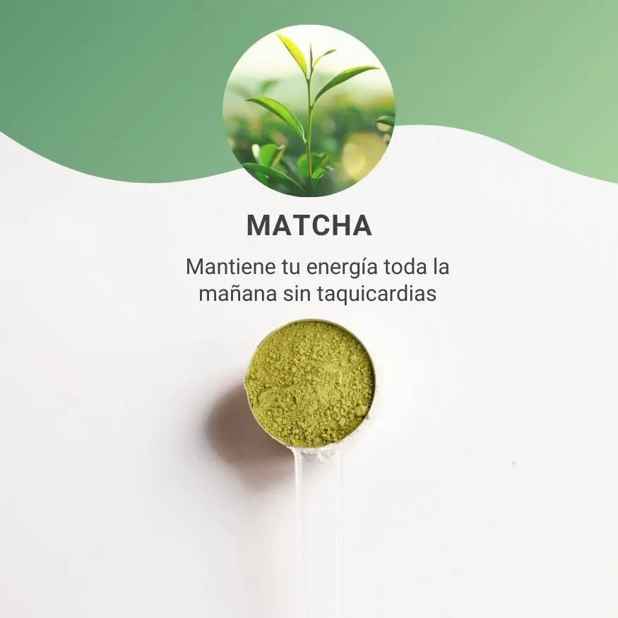 Baia Food Matcha Orgânico Cerimonial do Japão 50 g