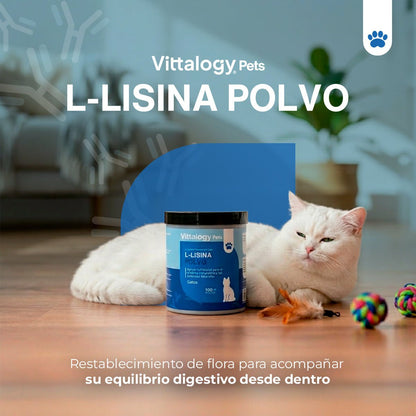 Vittalogy L-Lisina Polvo 3x100 gr【PACK AHORRO】