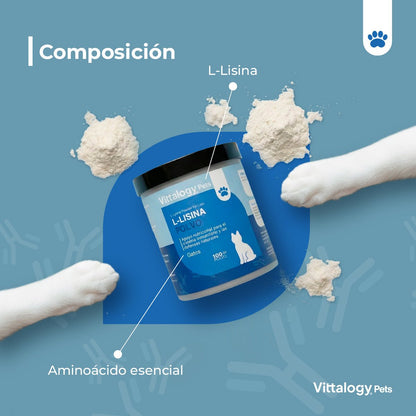 Vittalogy L-Lisina Polvo 3x100 gr【PACK AHORRO】