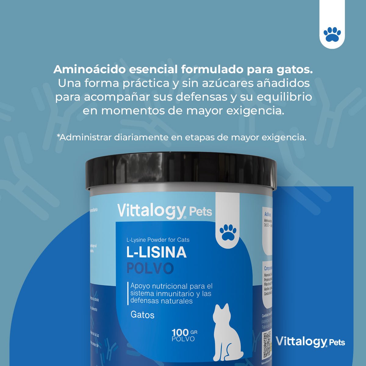 Vittalogy L-Lisina Polvo 3x100 gr【PACK AHORRO】