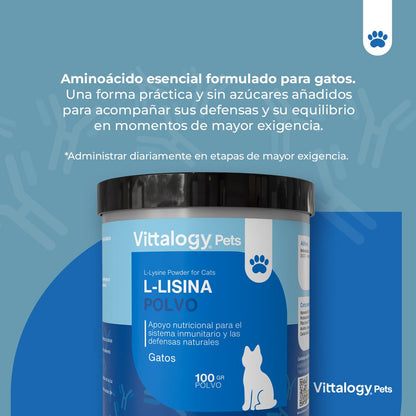 Vittalogy L-Lisina Polvo 3x100 gr【PACK AHORRO】