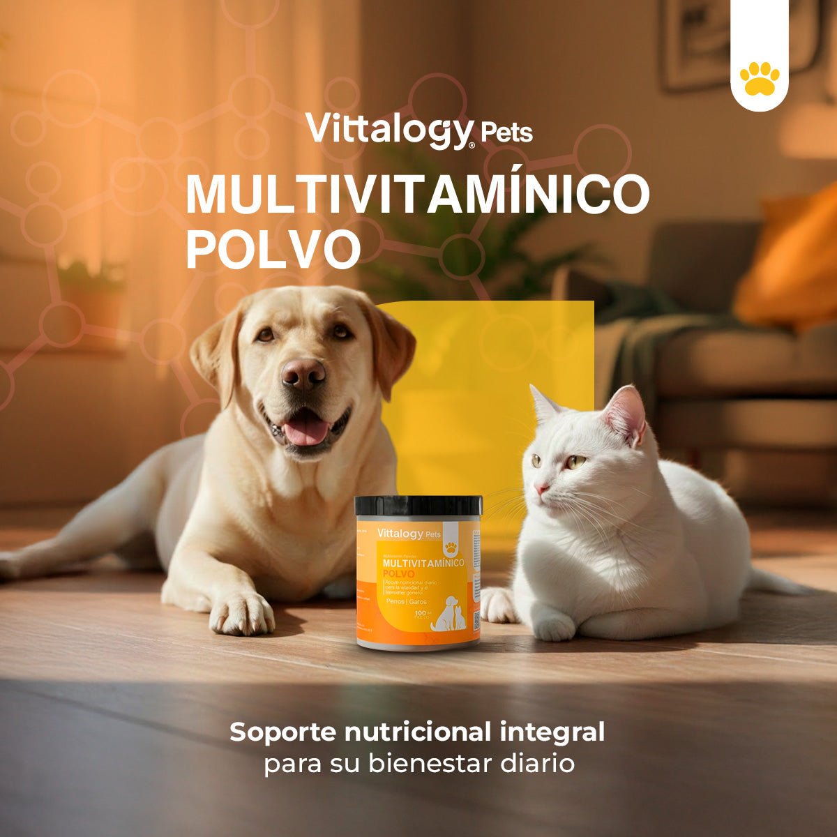 Vittalogy Multivitamínico 2x100 gr【PACK AHORRO】
