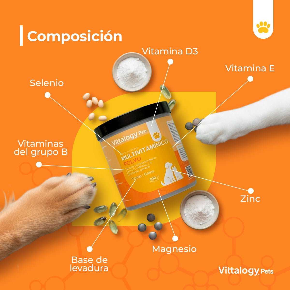 Vittalogy Multivitamínico 2x100 gr【PACK AHORRO】