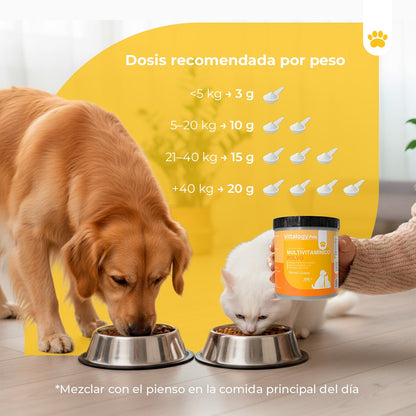 Vittalogy Multivitamínico 2x100 gr【PACK AHORRO】