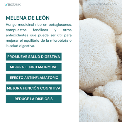 WeBotanix Probiotax Microbiota 60 cápsulas