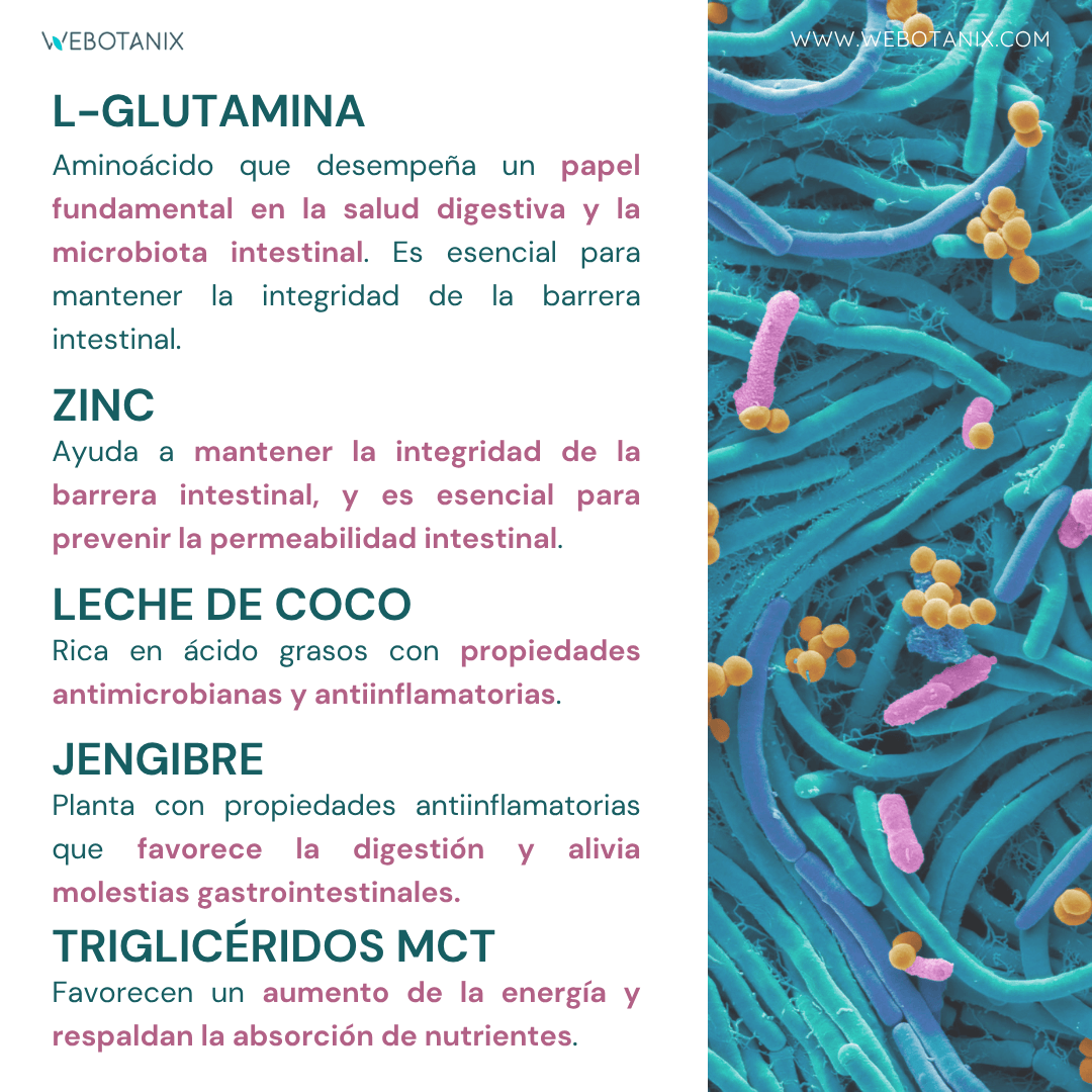 WeBotanix Probiotax Microbiota 30 cápsulas