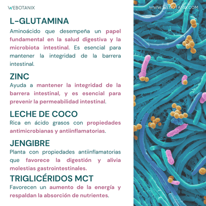 WeBotanix Probiotax Microbiota 60 cápsulas