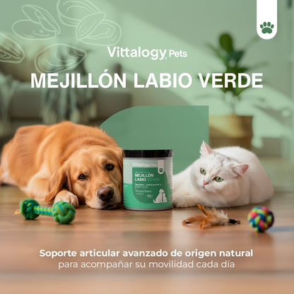 Vittalogy Mejillón de Labio Verde 100 gr