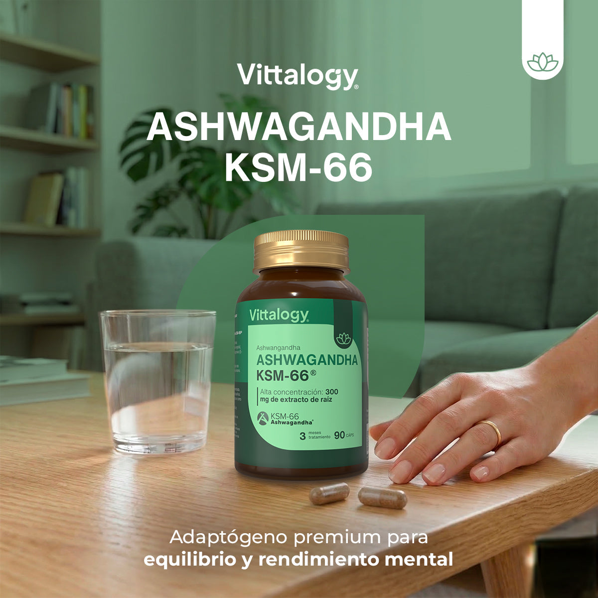 Vittalogy KSM-66 Ashwagandha 2x90 Cápsulas【PACK AHORRO】