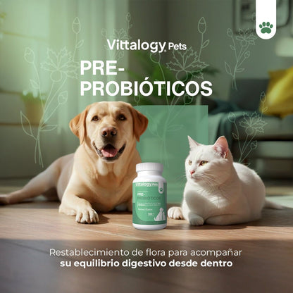 Vittalogy Probióticos 100 gr