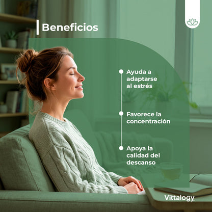 Vittalogy KSM-66 Ashwagandha 2x90 Cápsulas【PACK AHORRO】
