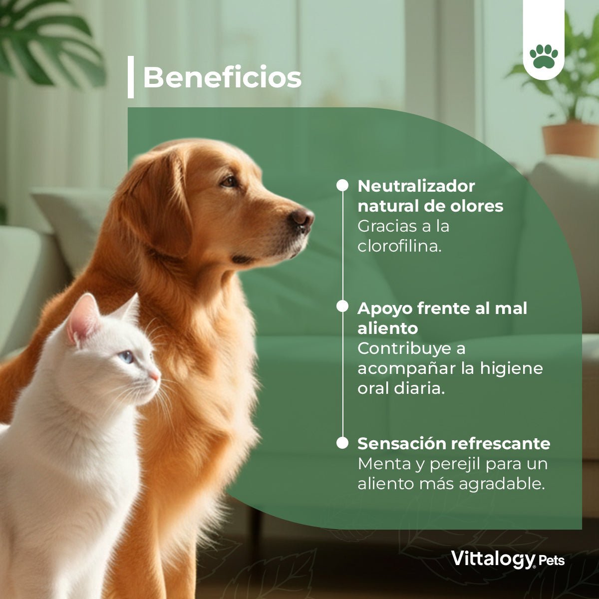 Vittalogy Halitosis 2x100 gr【PACK AHORRO】