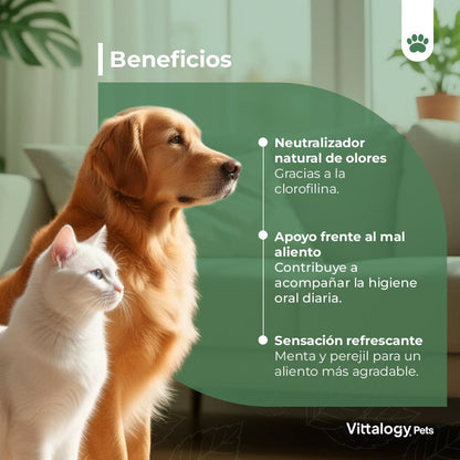 Vittalogy Halitosis 3x100 gr【PACK AHORRO】