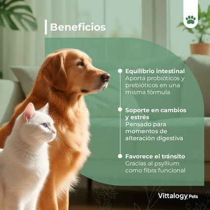 Vittalogy Probióticos 100 gr