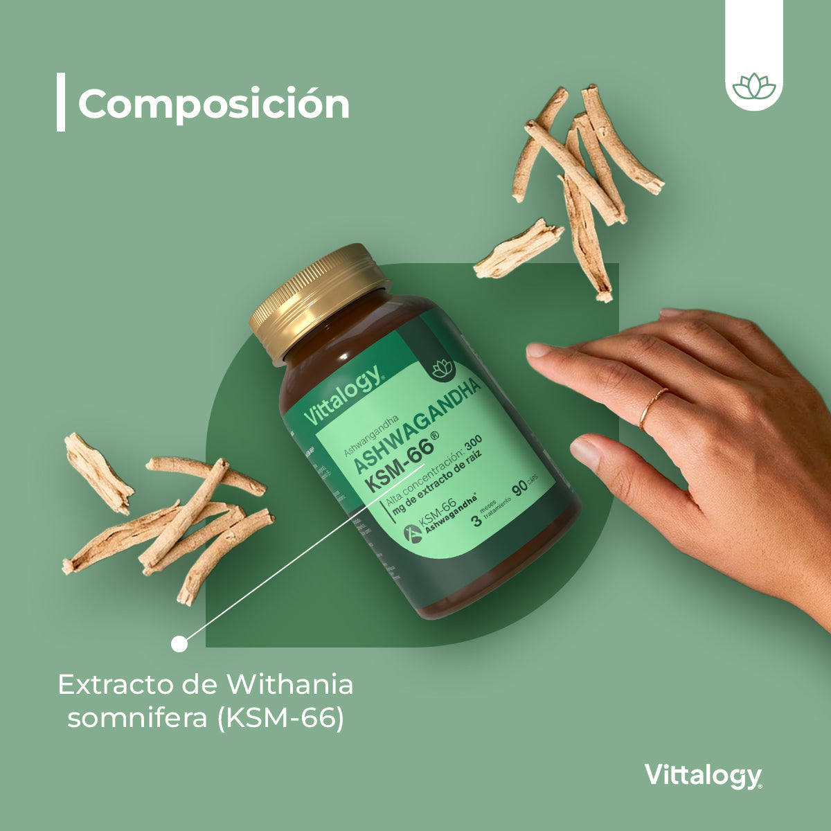 Vittalogy KSM-66 Ashwagandha 2x90 Cápsulas【PACK AHORRO】