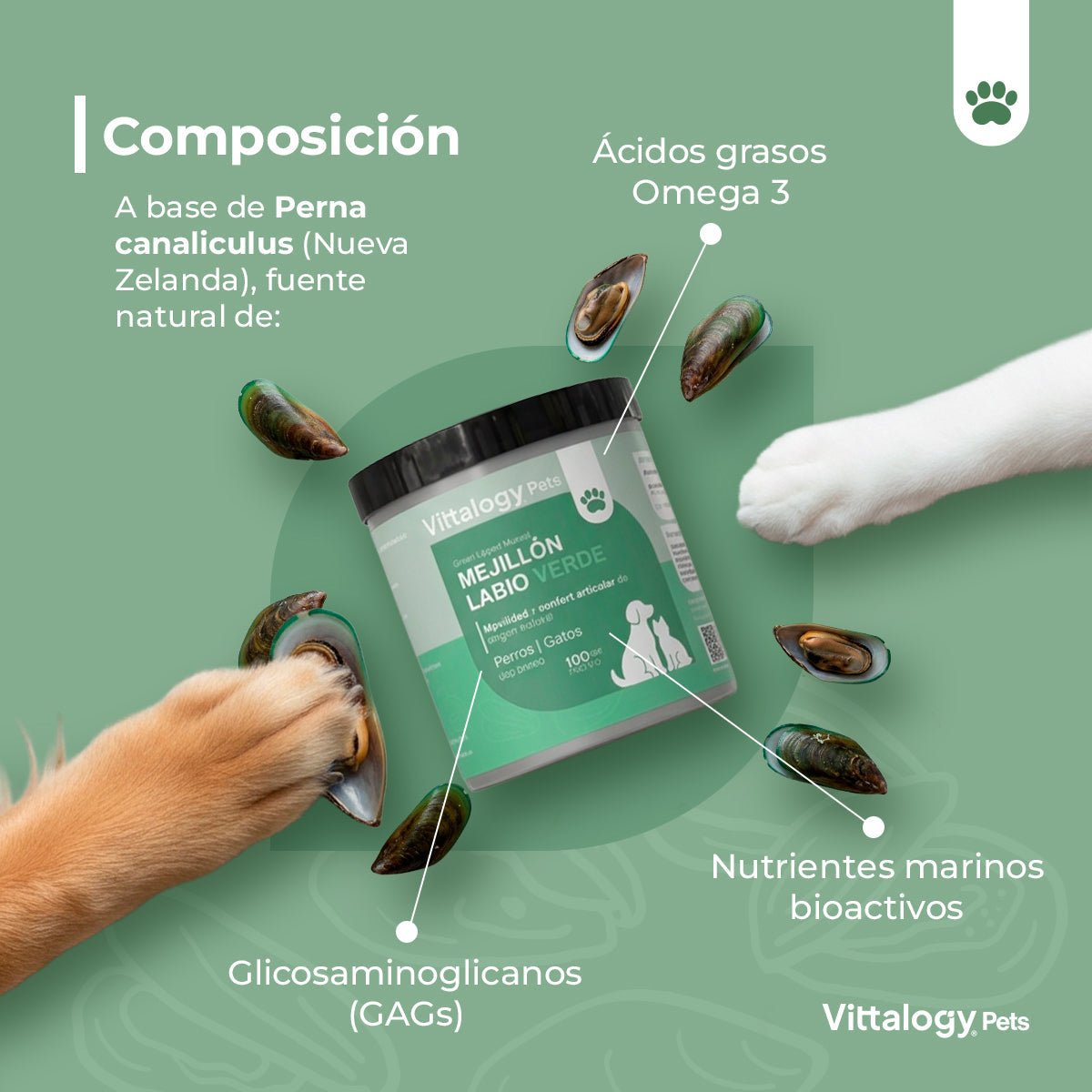 Vittalogy Mejillón de Labio Verde 2x100 gr【PACK AHORRO】