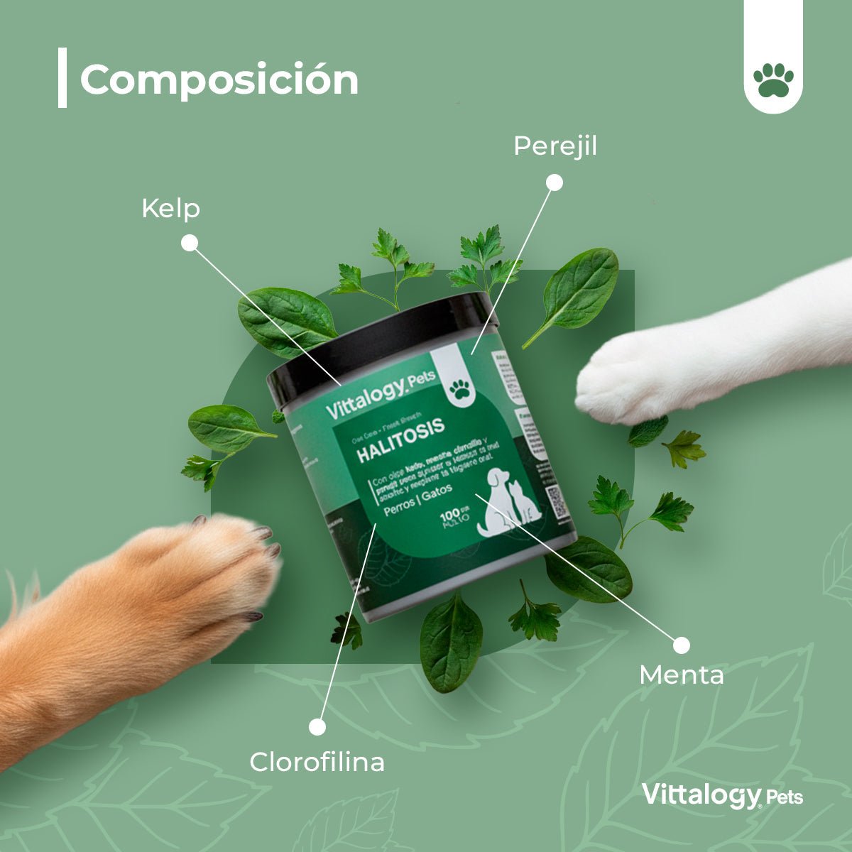 Vittalogy Halitosis 100 gr