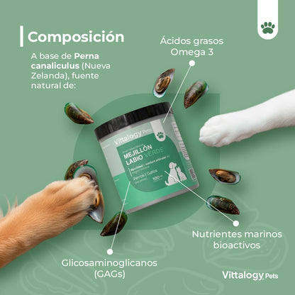 Vittalogy Mejillón de Labio Verde 3x100 gr【PACK AHORRO】