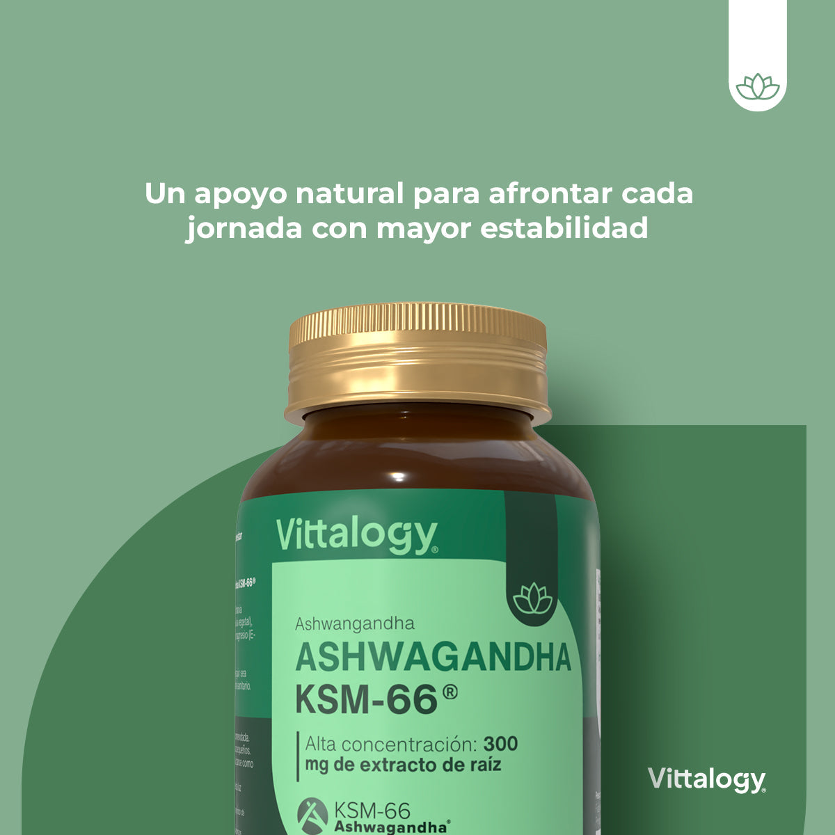 Vittalogy KSM-66 Ashwagandha - 90 cápsulas (Pack de 3)