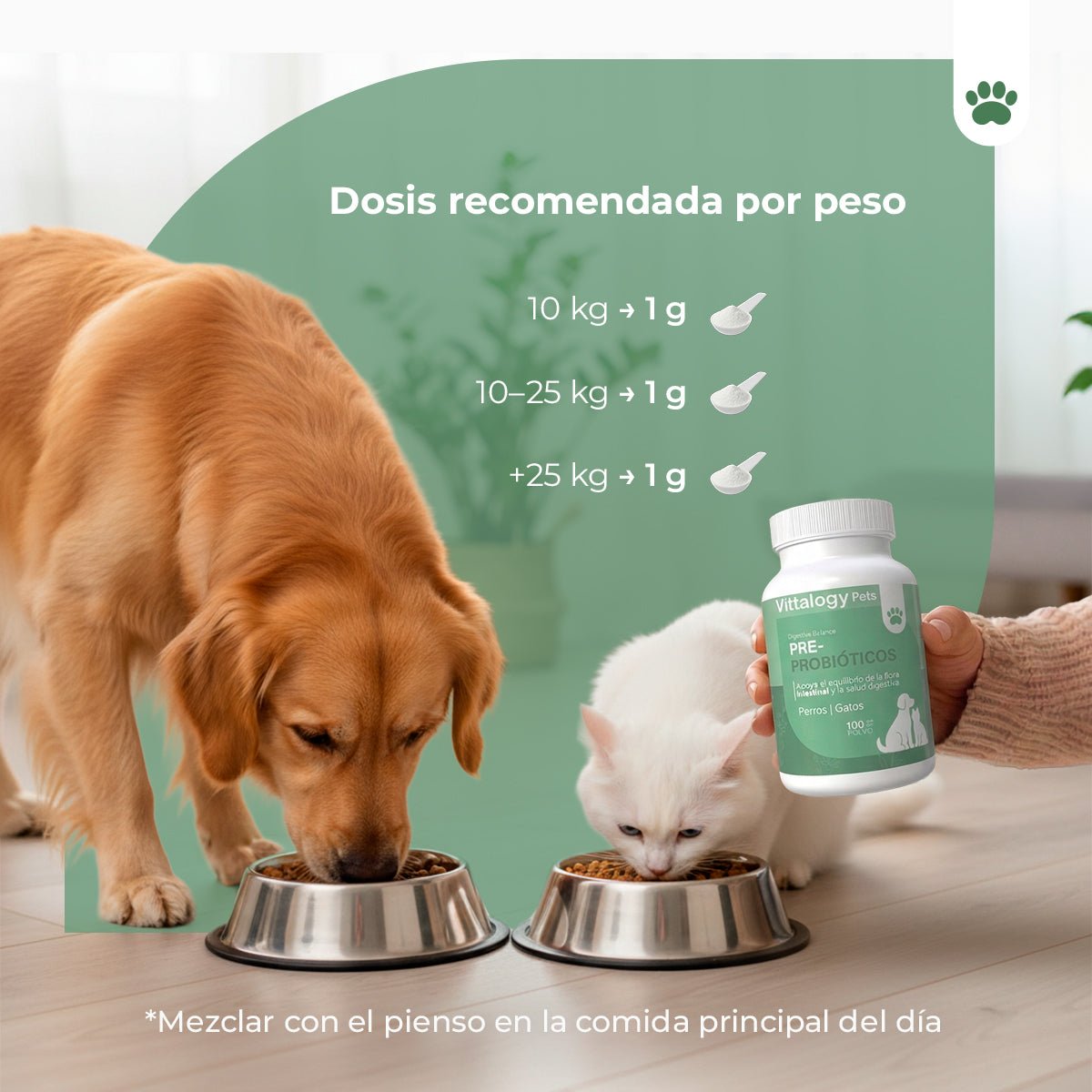 Vittalogy Pre-Probióticos 3x100 gr【PACK AHORRO】