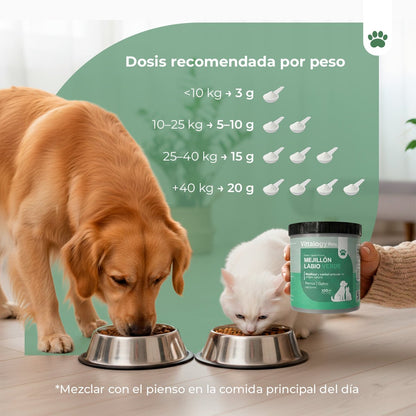 Vittalogy Mejillón de Labio Verde 2x100 gr【PACK AHORRO】