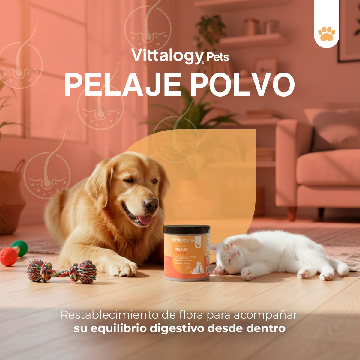 Vittalogy Pelagem em Pó 3x100gr【PACK POUPANÇA】