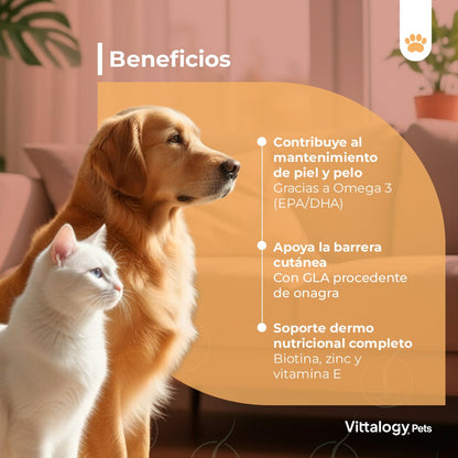 Vittalogy Pelagem em Pó 3x100gr【PACK POUPANÇA】