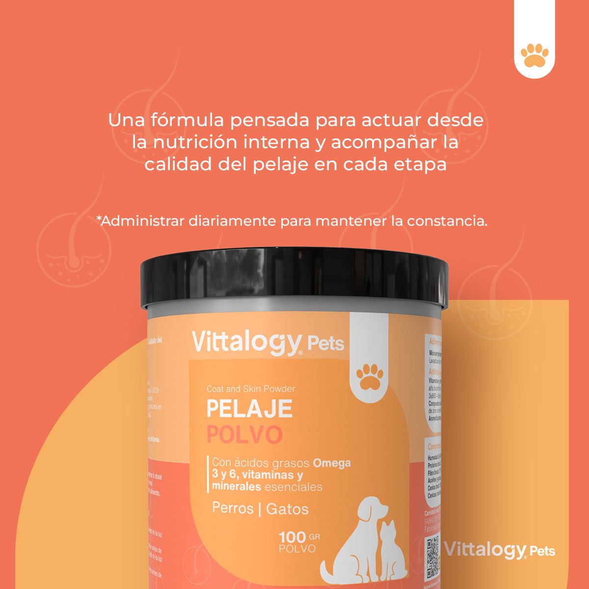 Vittalogy Pelagem em Pó 3x100gr【PACK POUPANÇA】